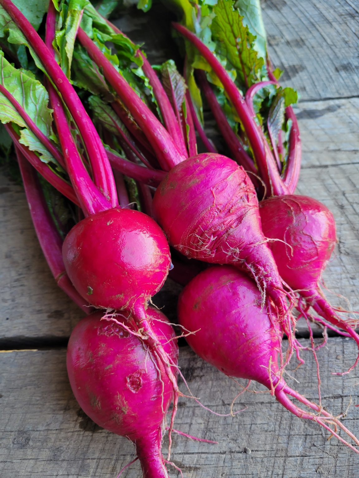 - 1 lb. ‘Scarlet Queen’ Red Turnips - Windswept Farm - RE Farm Café