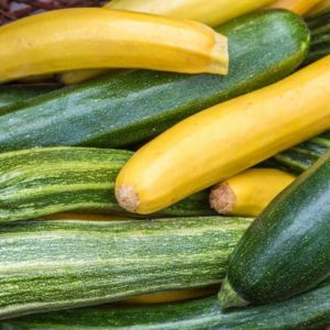 - 2 Medium Zucchini - Windswept Farm