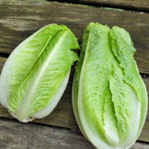 - 2 Romaine Lettuce Head - Windswept Farm
