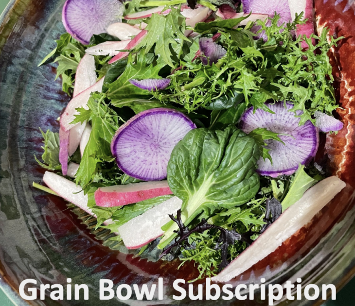 Spring Grain Bowl Subscription 2025