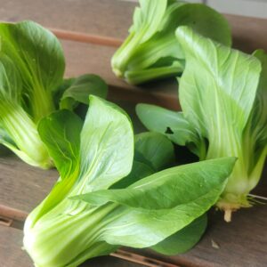 - 5 Mini Bok Choy - Windswept Farm