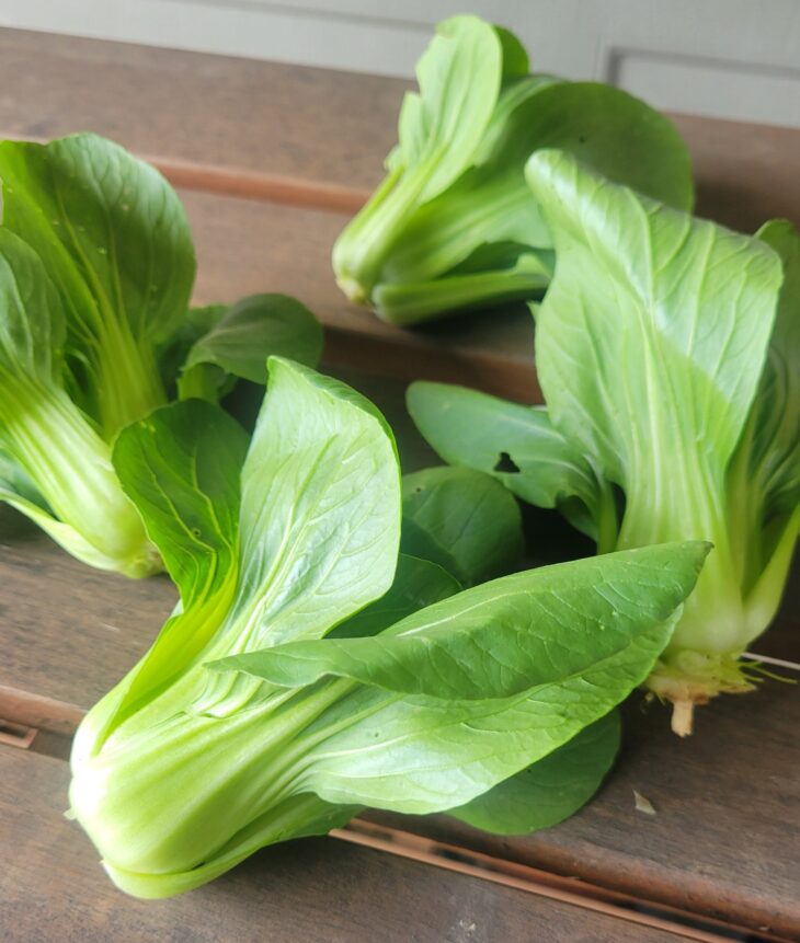 - 5 Mini Bok Choy - Windswept Farm