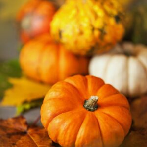 Thanksgiving Complete Dinner Orders