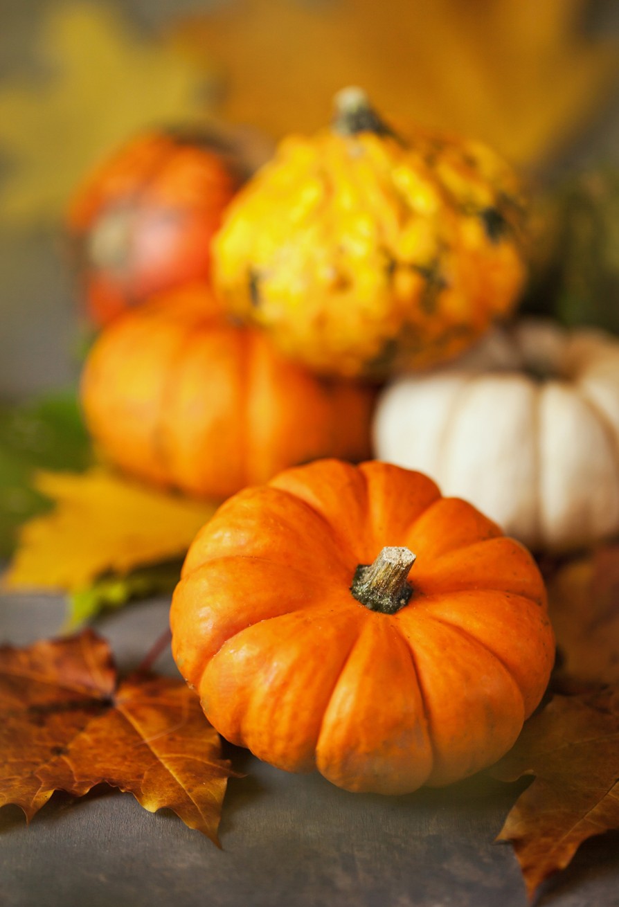 Thanksgiving Complete Dinner Orders